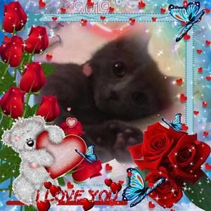 Meet your Posher, Iris